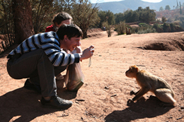 Day Trip Middle Atlas Mountains