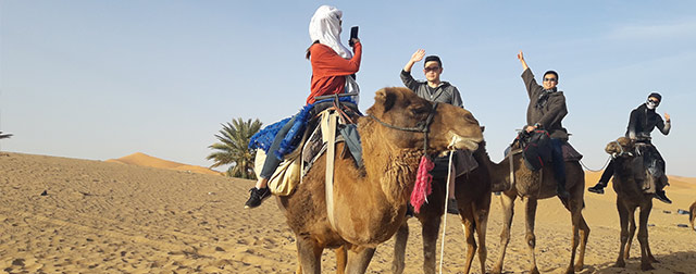 Morocco Camel Trekking in the sahara desert