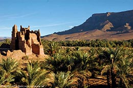 Trip Fes to Marrakech 4 Days / 3 Night